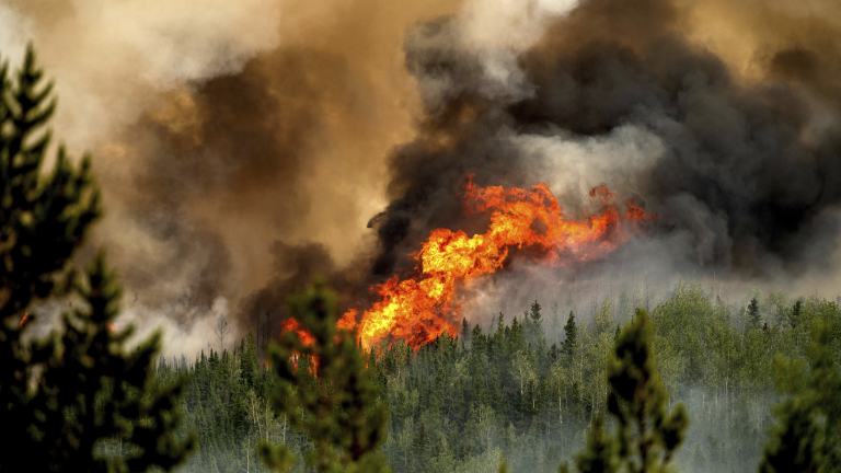 Étude de la NASA : les incendies canadiens de 2023 ont émis plus de carbone que de nombreux pays