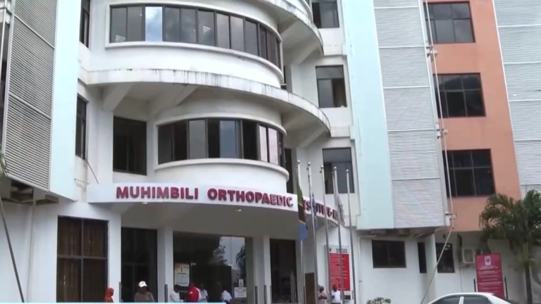 Le président tanzanien de Zanzibar décerne des médailles à une équipe médicale chinoise