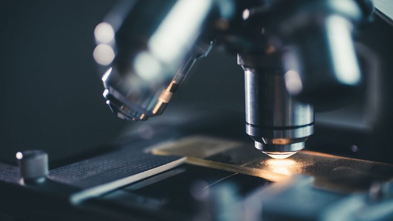 Un super microscope chinois élargit les connaissances sur les interactions entre les cellules des mammifères