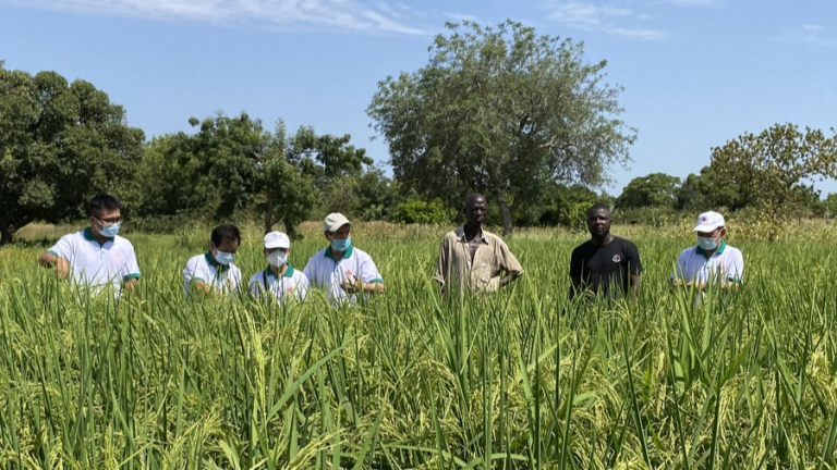 De la pauvreté à la prospérité : le savoir-faire de la Chine au service de l&rsquo;Afrique