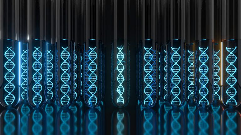 Des chercheurs réalisent une percée dans le stockage basé sur l’ADN des données d’IRM cérébrale