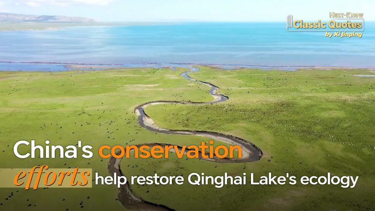 Pourquoi le réseau de réserves naturelles de la Chine s&rsquo;est-il révélé inestimable ?