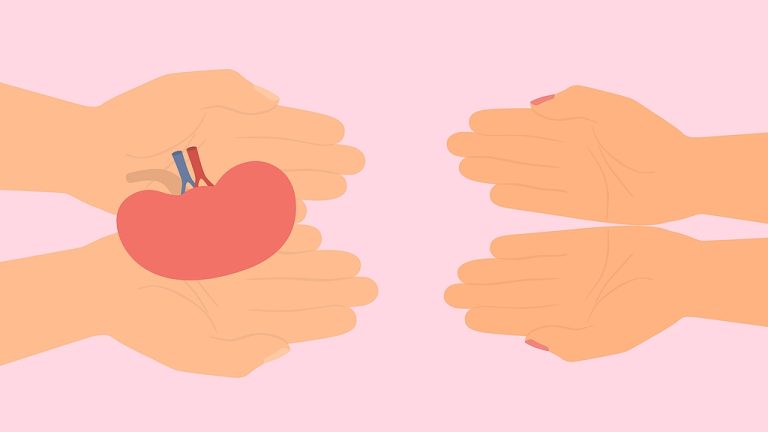 Une nouvelle étude montre que les greffes de rein sont sans danger entre personnes séropositives