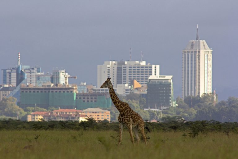 Le Kenya envisage de créer un marché du carbone