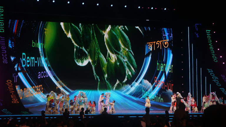 De la mer à l&rsquo;écran : le retour du Festival international du film de l&rsquo;île de Hainan