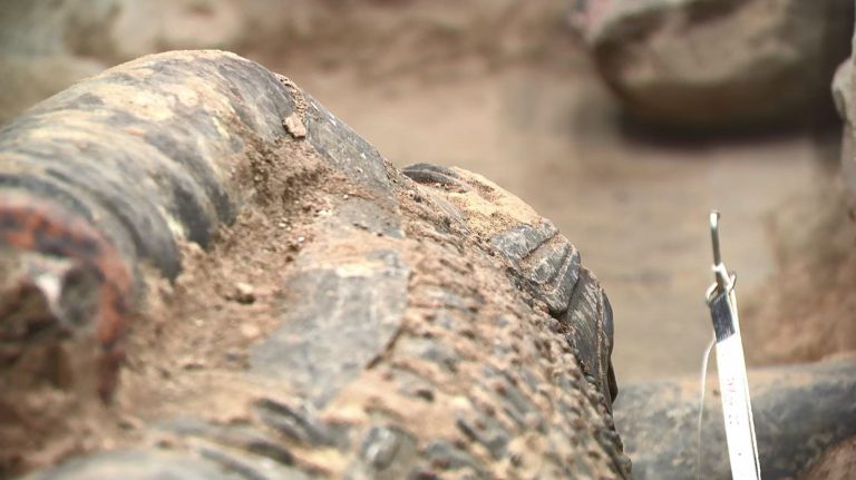 De nouvelles découvertes de guerriers en terre cuite dévoilent la structure des troupes de chars Qin