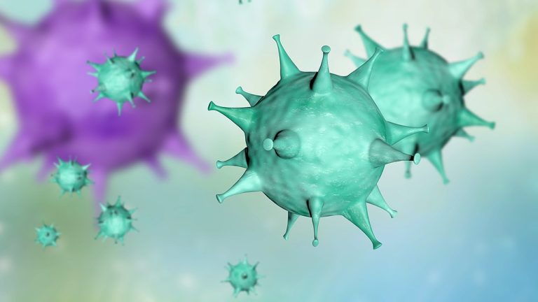 Des chercheurs chinois découvrent un nouveau modèle de transmission du virus