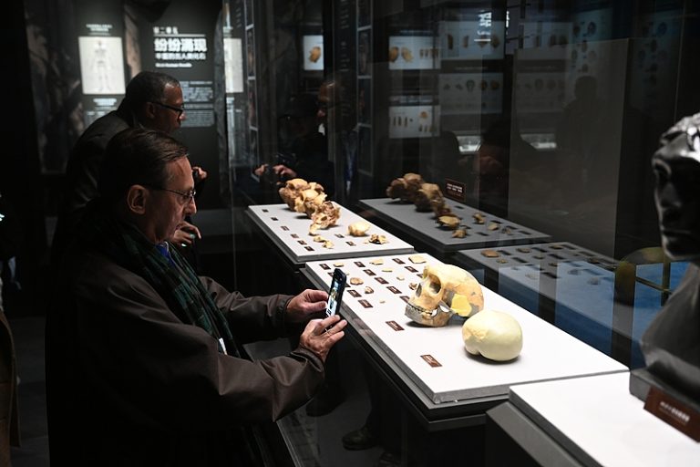 La Chine découvre des fossiles marquants de l’évolution humaine