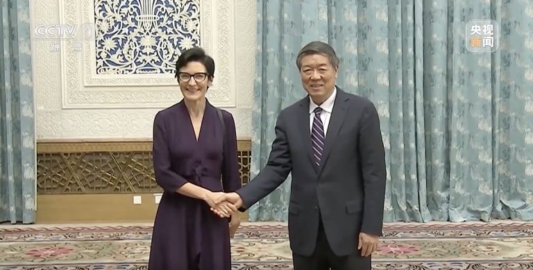 Le vice-Premier ministre encourage les entreprises étrangères à approfondir leur coopération avec la Chine