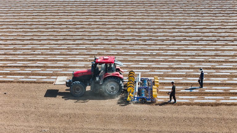L&rsquo;industrie cotonnière du Xinjiang appelle à un traitement objectif de son coton