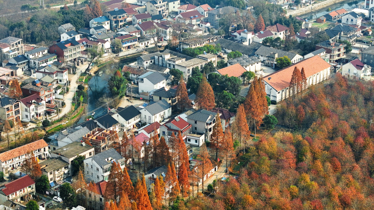 Xi appelle à approfondir la réforme rurale et à renforcer l&rsquo;agriculture