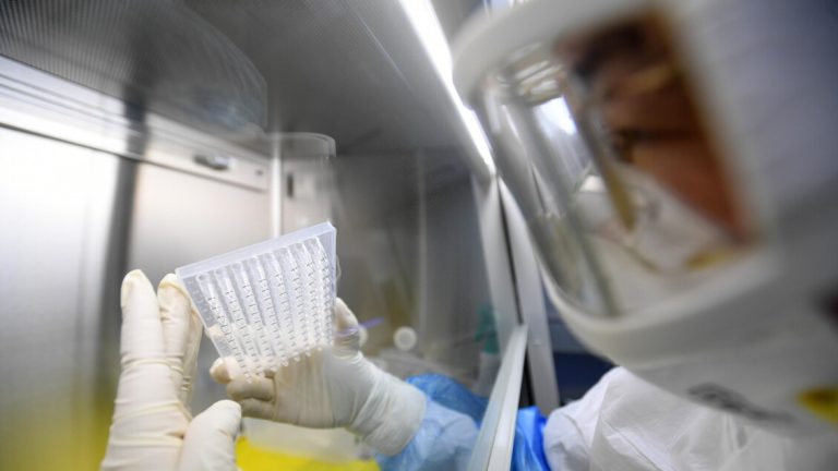 Chinese team discovers new Coronavirus transmissible to man