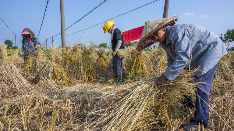 La Chine continue de lutter contre la pauvreté alors qu&rsquo;elle sauvegarde les progrès