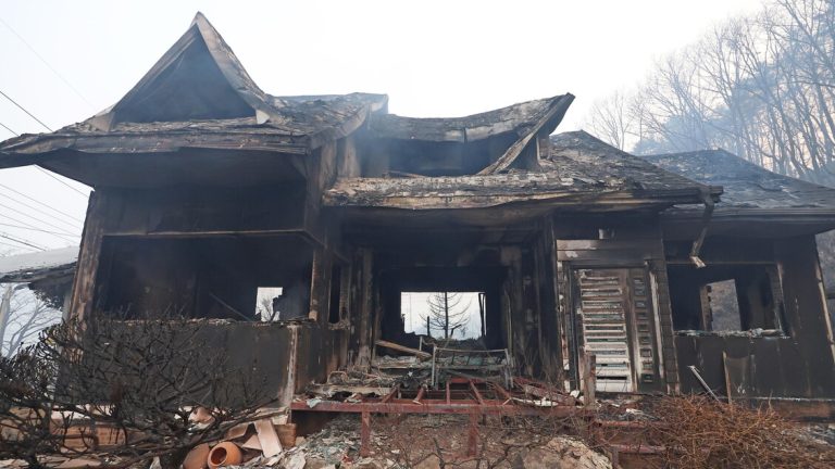 Boschive fires in South Korea, 18 dead and 19 injured