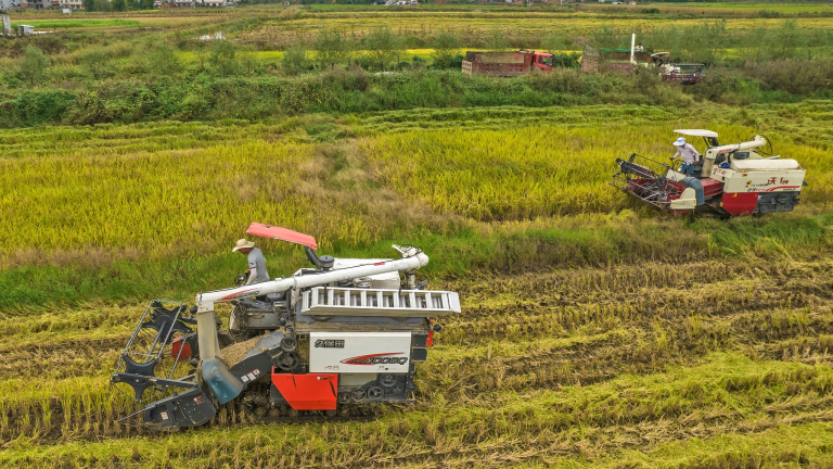 Le premier ministre chinois souligne la nécessité de protéger l&rsquo;approvisionnement des produits agricoles
