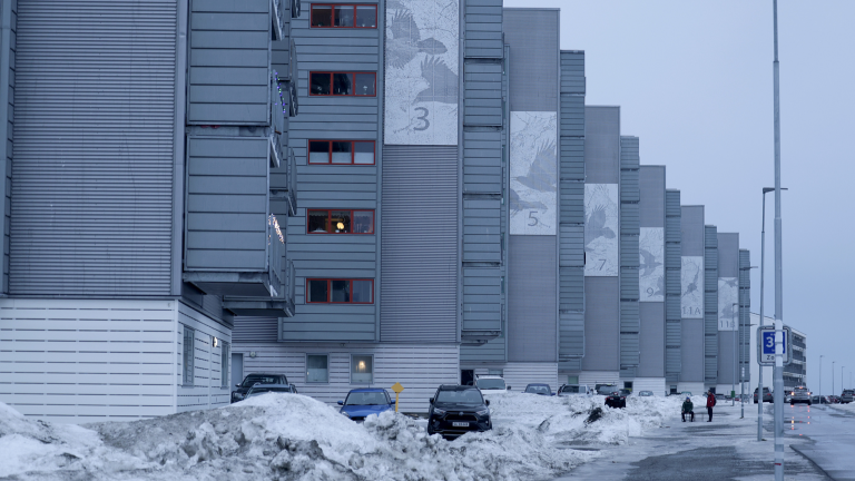 Les dirigeants de Groenlandais rejettent les remarques d&rsquo;annexion de Trump