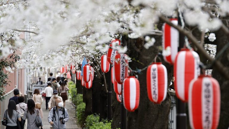 Japan: Dutch duties deplorable and possible violation of WTO standards