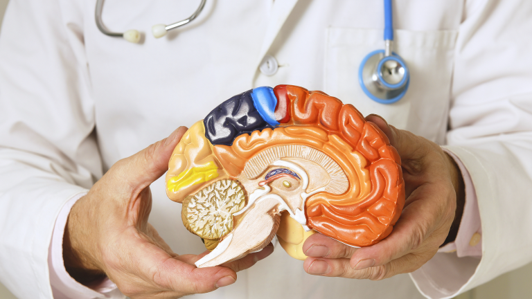 Journée mondiale de Parkinson: un guide rapide de la parkinson