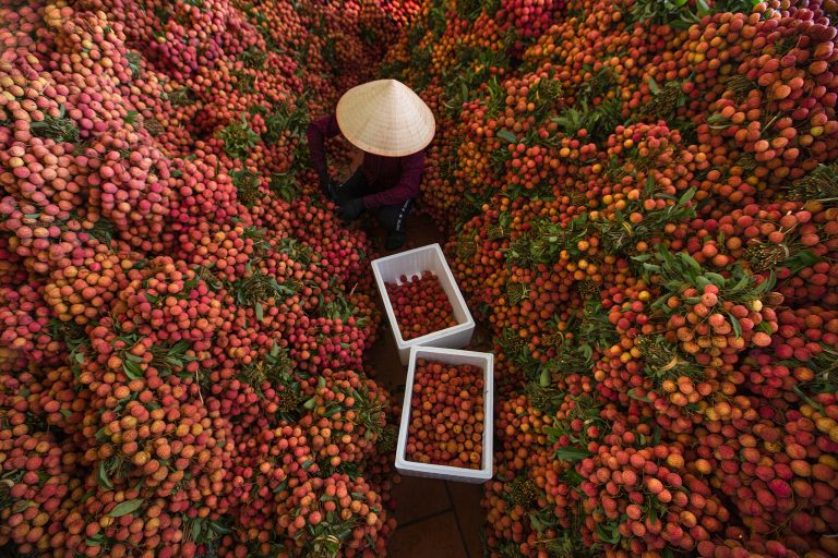 Les Lyscuss du Vietnam adoucissent les marchés chinois à mesure que les liens commerciaux s&rsquo;approfondissent