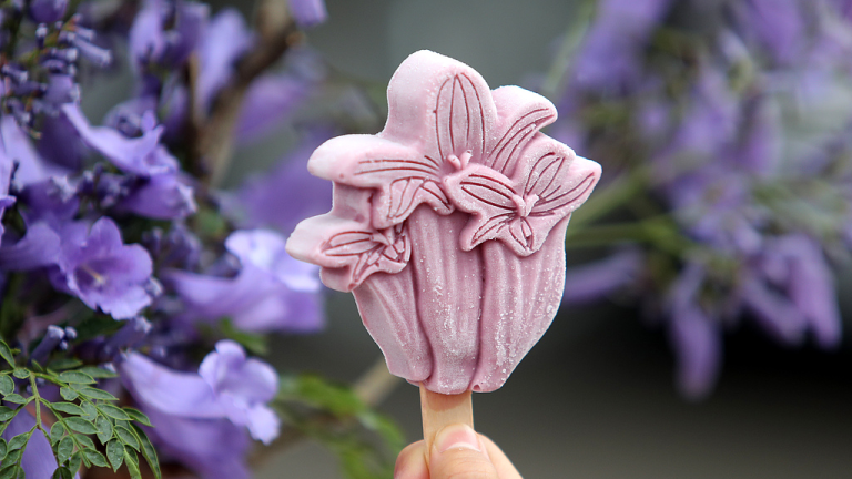 Popsicle floral: un mélange parfait d&rsquo;esthétique et de saveur