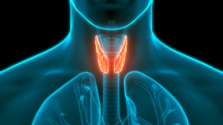 La sensibilisation à la santé thyroïdienne augmente en Chine au milieu des diagnostics croissants