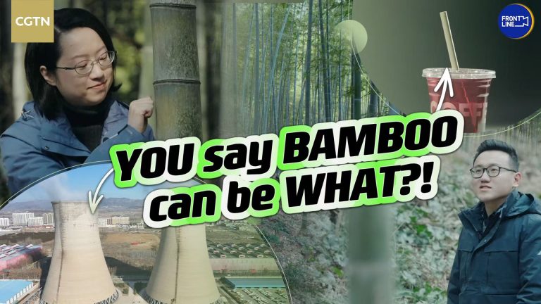 Bamboo au lieu de plastique: la transition verte en cours de la Chine