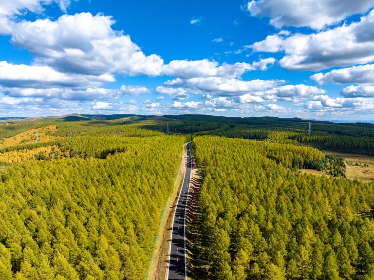 Génération de la Chine: la nature entraîne une efficacité énergétique, une croissance à faible émission de carbone