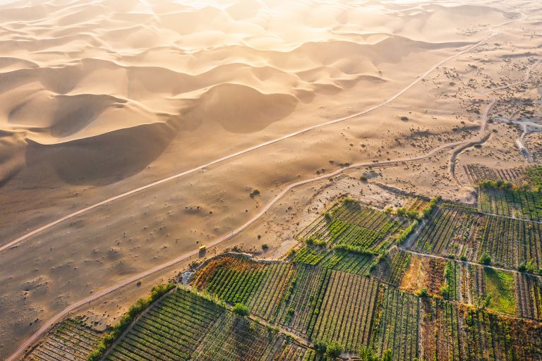 La restauration des terres déverrouille les opportunités vertes