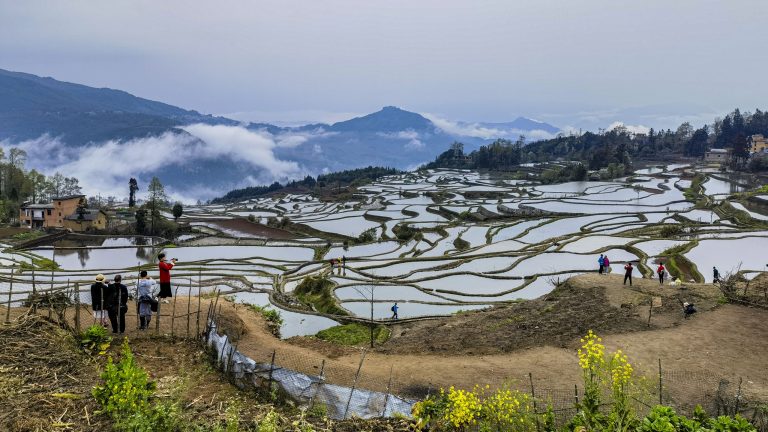 Les paysages d&rsquo;irrigation traditionnels attirent les visiteurs en Chine et en Indonésie