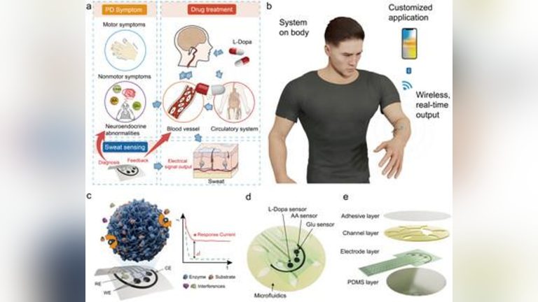Les scientifiques chinois font un tampon portable pour l&rsquo;avertissement de la maladie de Parkinson
