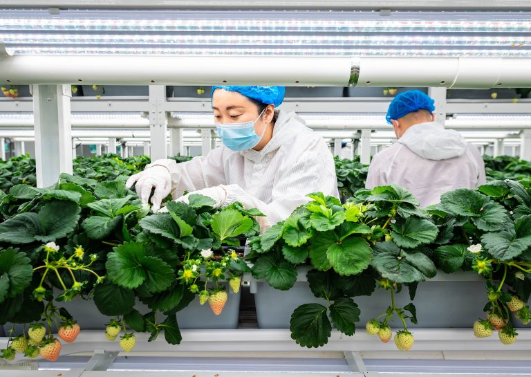 Transformation verte: un catalyseur de nouvelles forces productives de qualité