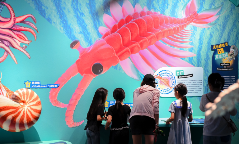 La première saison du musée de Pékin déclenche la passion de la ville