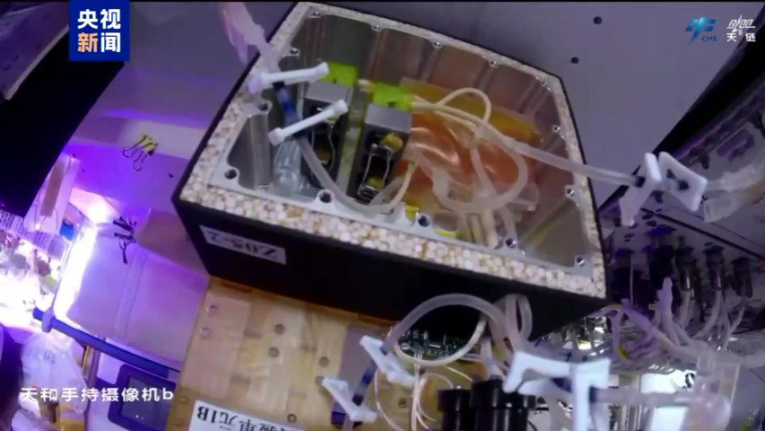 L'appareil pour rechercher comment les environnements spatiaux ont un impact sur la barrière hémato-encéphalique humaine. / Cmg