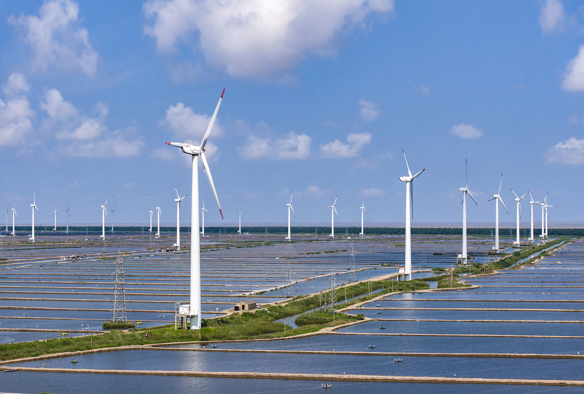 Éoliennes à Yancheng, province du Jiangsu, Chine orientale, 25 août 2024. / VCG