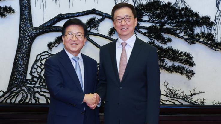 Le vice-président chinois, Han Zheng (R), rencontre Park Byeong-Seug, envoyé spécial du président sud-coréen Lee Jae-Myung, à Pékin, Chine, 26 août 2025. / Xinhua