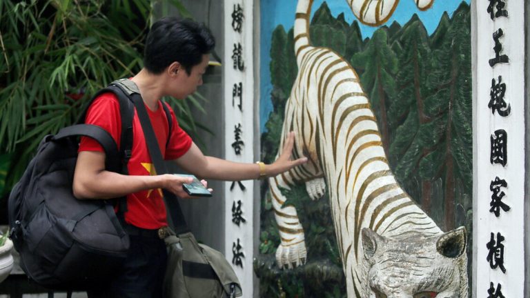 International tourism grows in Vietnam, 12 million in 2025