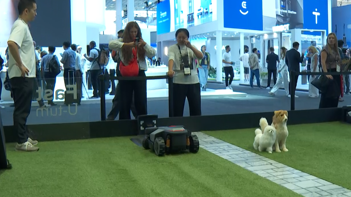 Quelqu'un a-t-il besoin de nettoyer sa pelouse? / CGTN Europe