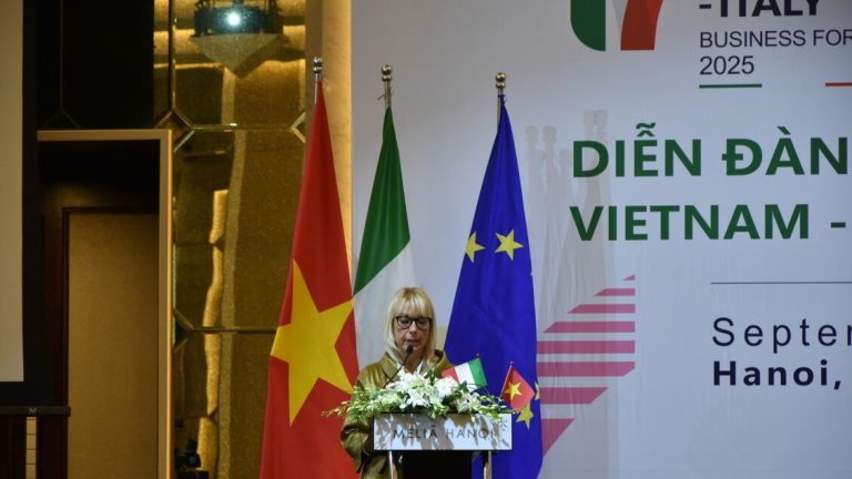 Deputy Minister of Business and Made in Italy at the Italia-Vietnam Forum
