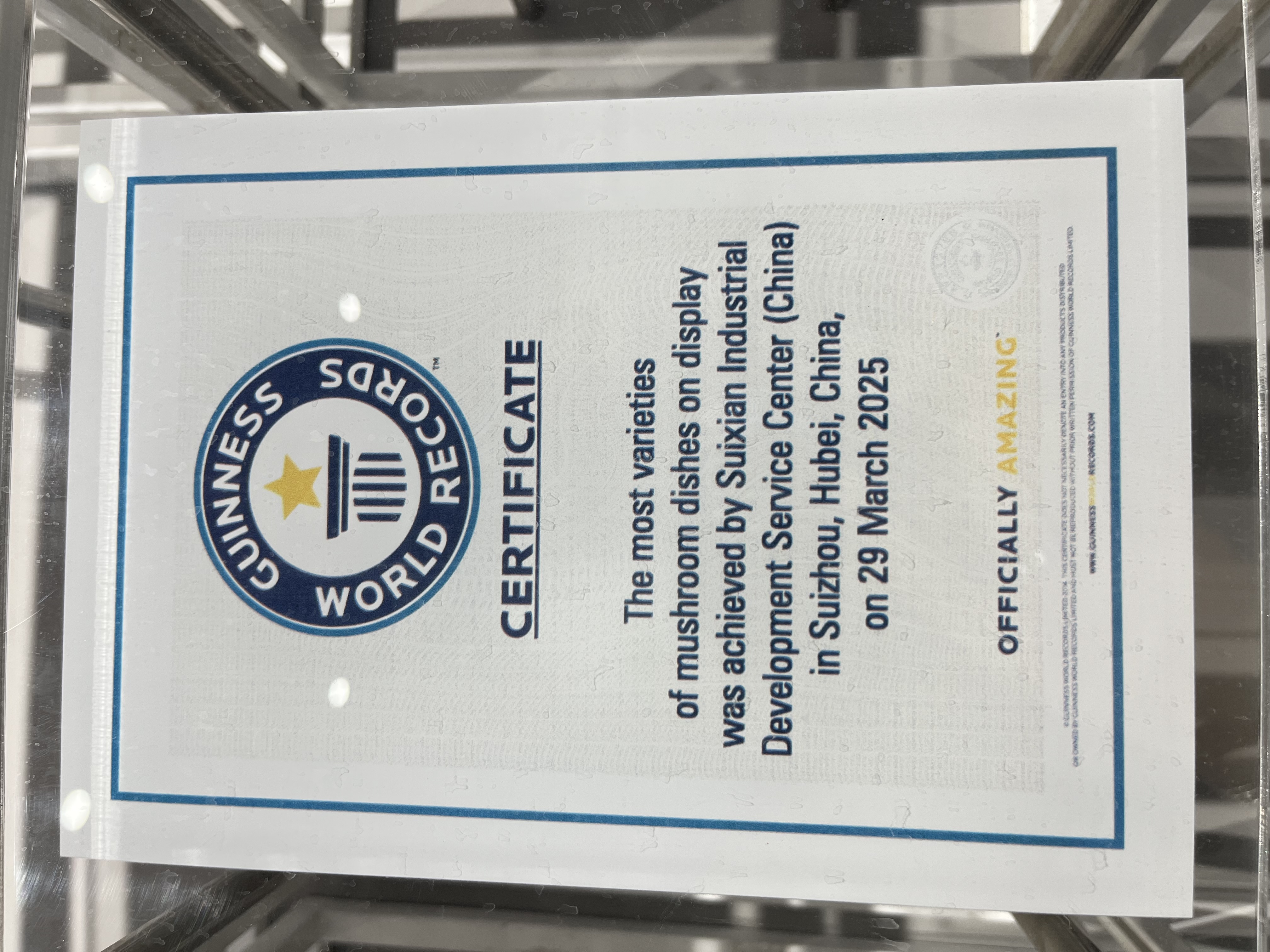 Un certificat Guinness World Records à Suizhou, province de Hubei / CGTN