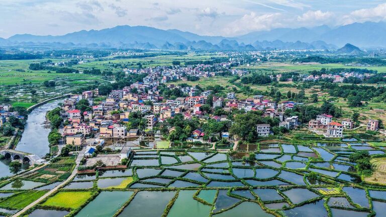 La Chine construit le plus grand réseau de surveillance écologique du monde