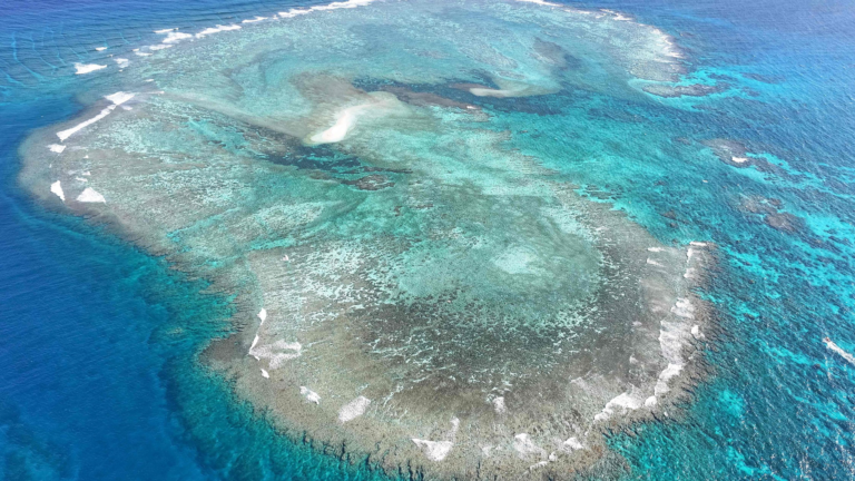 La Chine sauvegarde la souveraineté et la paix en mer de Chine méridionale