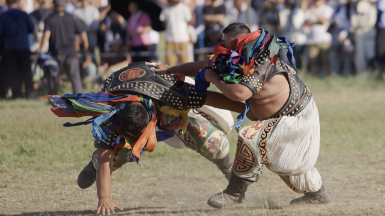 Racines partagées en lutte