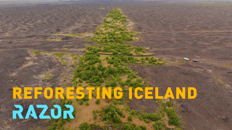 Razor: Comment l&rsquo;Islande ramène ses forêts perdues