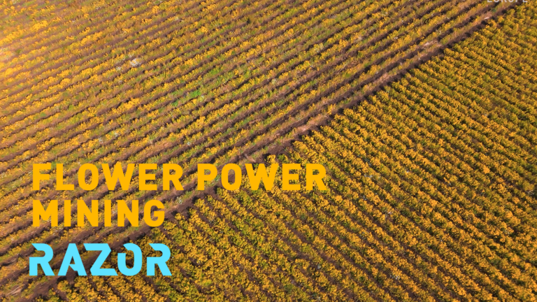 Razor: une approche durable de l&rsquo;exploitation minière alimentée par la puissance des fleurs