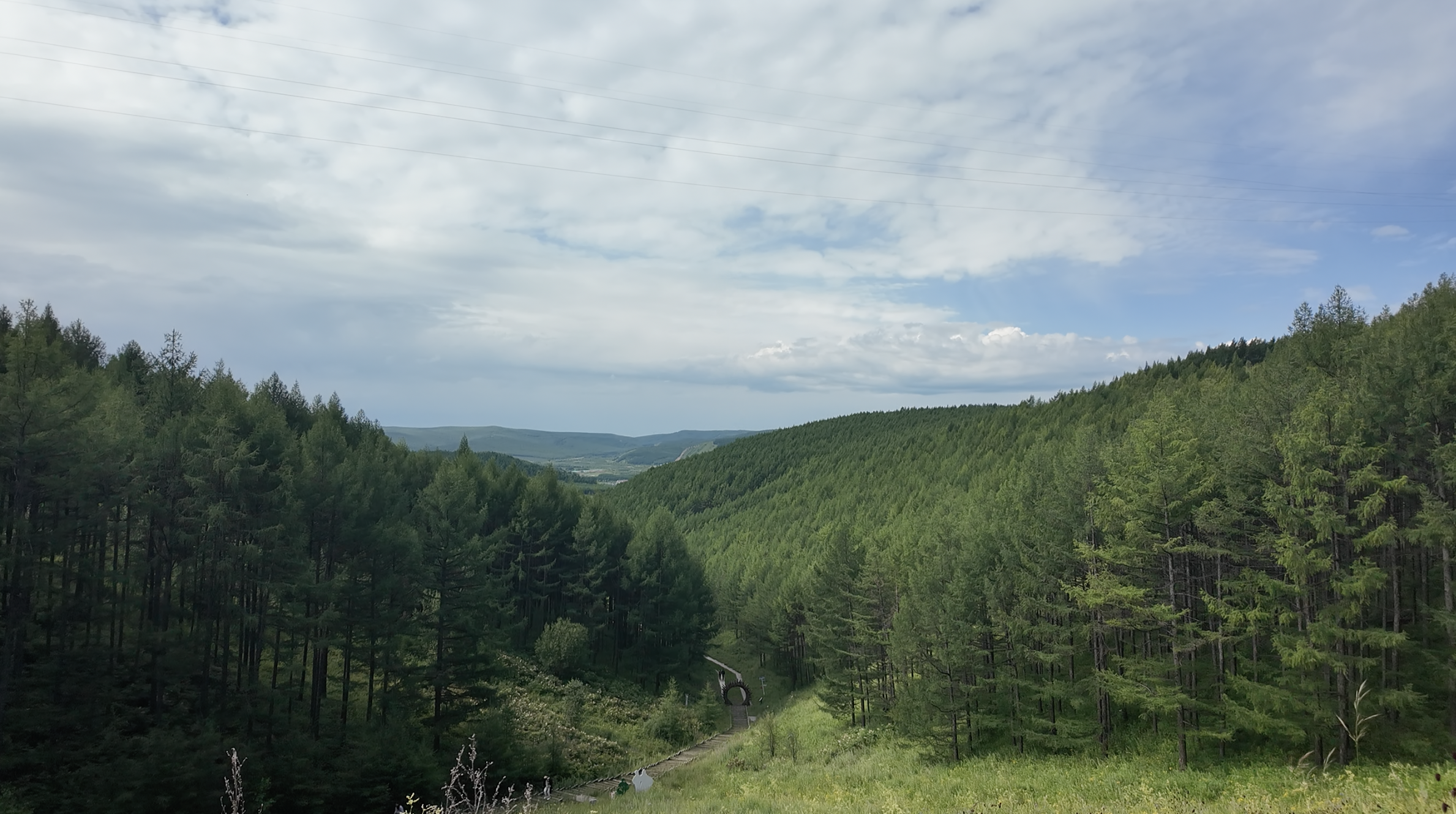 Arxan Oxygen Heart Forest, Arxan City, Mongolie intérieure. / Cgtn