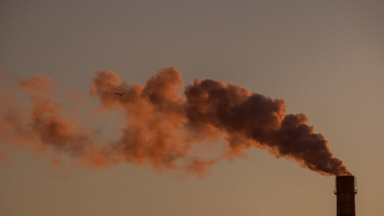 Usa ask Tokyo to impose new duties in China and India