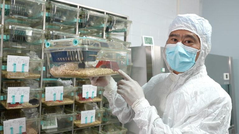 La Chine va mener des expériences sur des souris sur la station spatiale