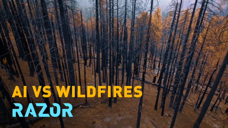 RAZOR : L’IA peut-elle arrêter les incendies de forêt avant qu’ils ne commencent ?