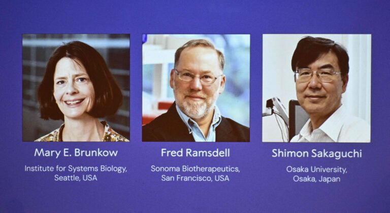 Trio gagne le prix Nobel en médecine pour les découvertes sur la tolérance immunitaire