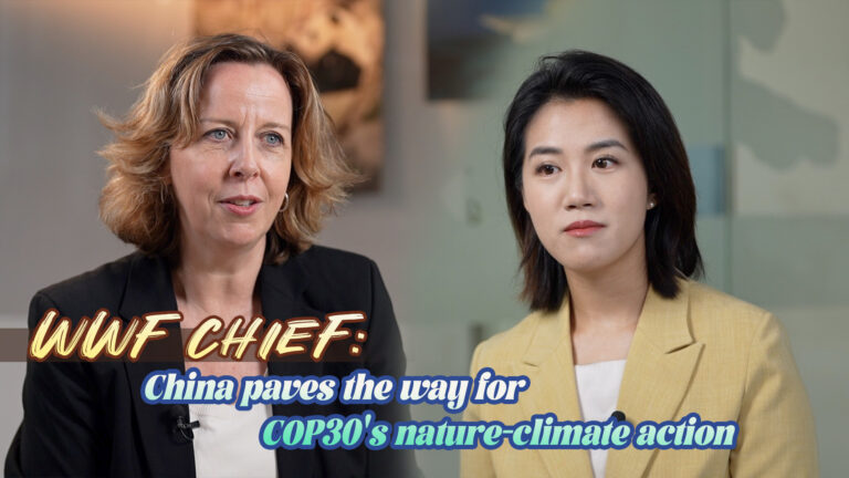 Chef du WWF : la Chine ouvre la voie à l&rsquo;action nature-climat de la COP30